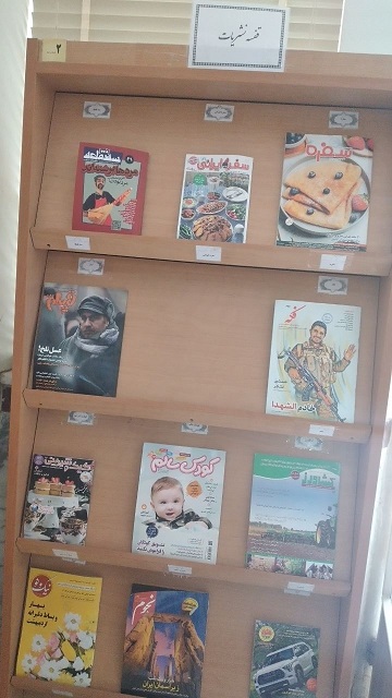 بخش نشریات بزرگسال